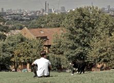 london skyline honor oak park2.jpg